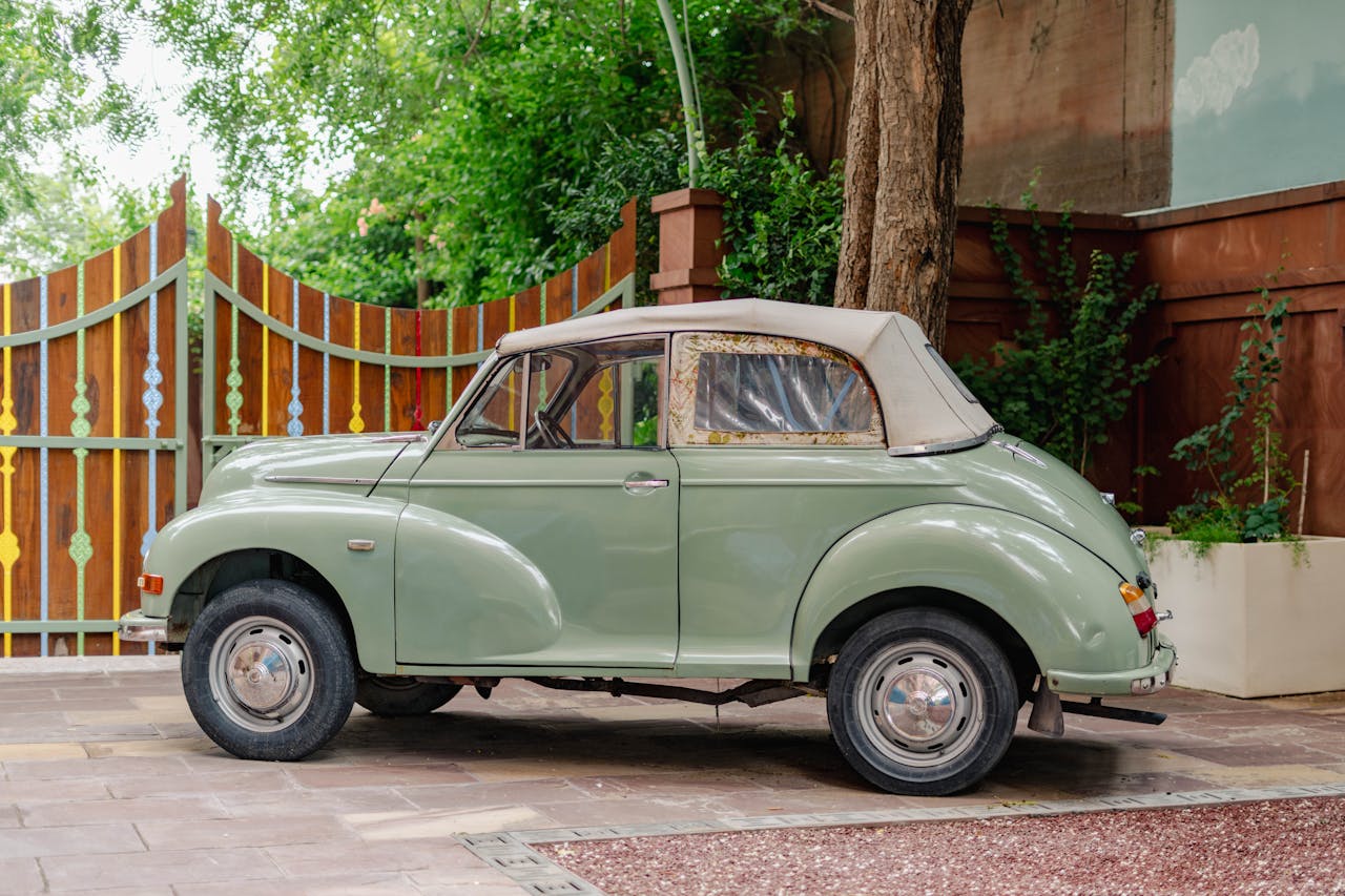 pexels photo 33790769.jpeg